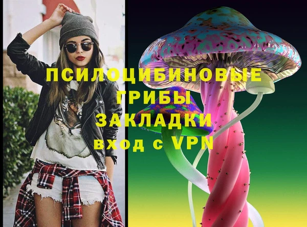 трава Осинники